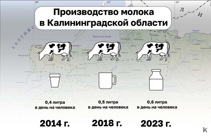 «А много ль корова даёт молока?»: как росло производство в Калининградской области за 10 лет (инфографика) - Новости Калининграда | Иллюстрация: Иван Кузнецов / «Клопс»