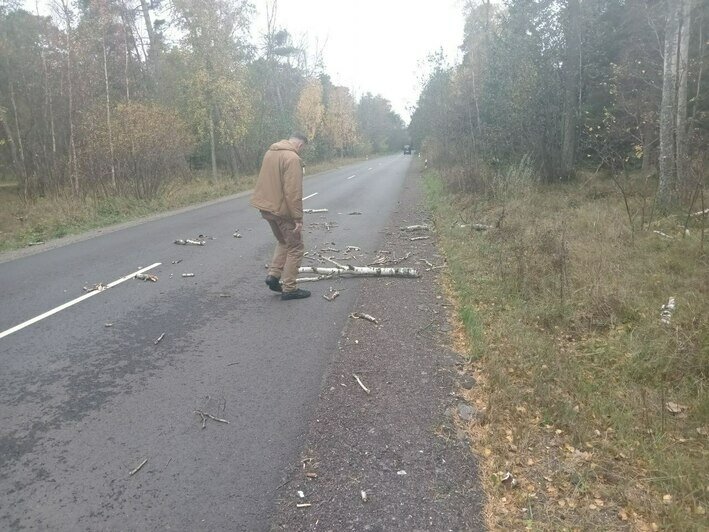 На Куршской косе предположили, в честь кого могли назвать разбушевавшийся циклон «Мартина» - Новости Калининграда | Фото: пресс-служба национального парка «Куршская коса»