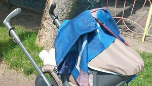 Не должна превышать габариты: в Третьяковскую галерею в Калининграде не пустили маму с коляской