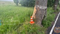 Под Славском мотоциклист врезался в придорожное дерево и разбился насмерть (видео)
