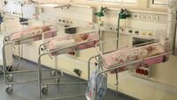 Калининградские многодетные получили право на денежные выплаты вместо земельного участка  
