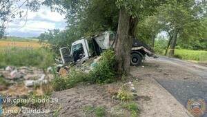 В Калининградской области мусоровоз влетел в дерево, водитель в больнице