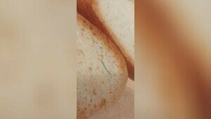 Калининградец обнаружил проволоку в наполовину съеденном батоне (фото) 