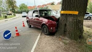 Дети попали в больницу: в Железнодорожном женщина за рулём Volkswagen врезалась в дерево  