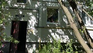 «Наверное, ждут, когда ветка свалится на голову ребёнка»: хит-парад потенциальных деревьев-убийц в Калининграде, часть 1  