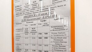 Теперь Варшава: из Калининграда увеличили автобусные рейсы в Польшу (расписание)