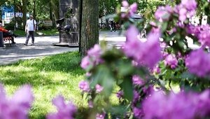 Что случилось в Калининградской области: главное на 16 июля