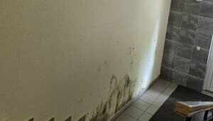 Кругом вода: дождливое лето обнажило коммунальные проблемы в домах Калининграда и области (фото, видео) 