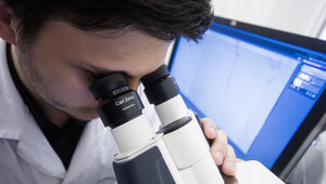 Учёные выяснили, что осьминоги не используют одни и те же щупальца для разных задач