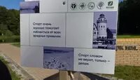 Снять стресс и укрепить иммунитет: в парке Макса Ашманна открыли тропу здоровья (видео)  