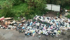 «Окна открыть невозможно, у детей рвотный рефлекс»: каким улицам Калининграда срочно требуется уборка (фото, видео)  