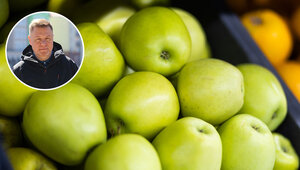 Яблочный атас, беззащитные могилы и дополнительная трезвость: cобытия недели, которые обсуждали в Калининграде  