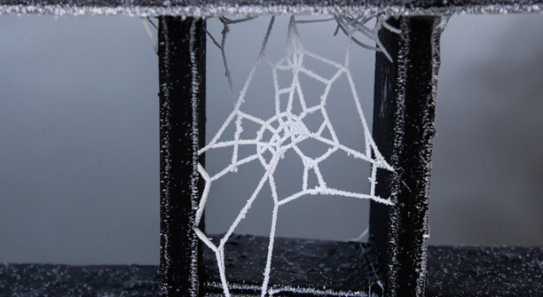 Синоптики рассказали, когда Калининградскую область окутает паутина холодов