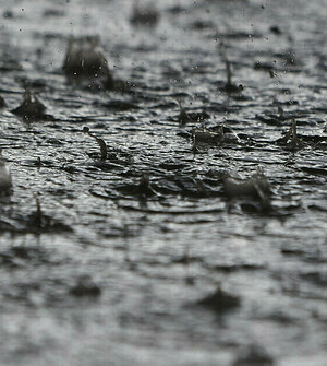 Власти рассказали, почему поля в Калининградской области так часто топит и что с этим делать 