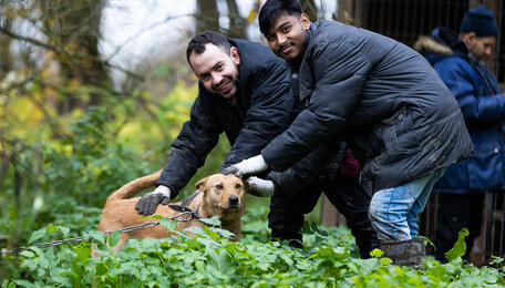 Студенты-иностранцы выучили слово «волонтёр» и помогли собакам из приюта в Талпаках (фоторепортаж) 