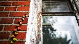 Мошенники под предлогом спонсирования ВСУ надоумили школьницу из Гусева разбить соседское окно 