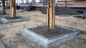 Власти объяснили, почему в Калининграде высаживают деревья зимой 