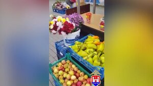 Многострадальную торговку овощами и рассадой на Северном вокзале снова оштрафовали за отсутствие лицензии 