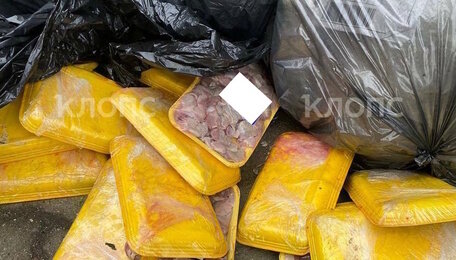 У дома, где жила Дятлова, образовался склад протухших продуктов (видео)