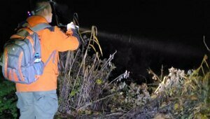 Исчезнувший под Правдинском: первыми тревогу забили соседи, близкие не заметили пропажи пенсионера (фото, видео)  