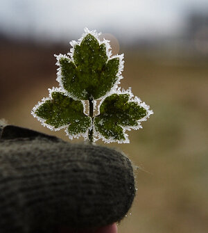 Врач объяснил, какие продукты обязательно должны быть в рационе зимой