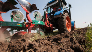 52% от плана: в Калининградской области собрали 13 тысяч тонн свеклы, моркови и капусты