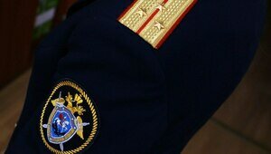 В России предложили создать полицию нравов, которая противодействовала бы подпольному секс-бизнесу