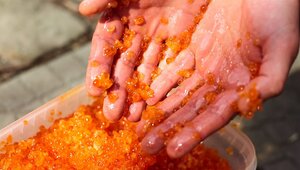 За год красная икра в России подорожала на 33% 