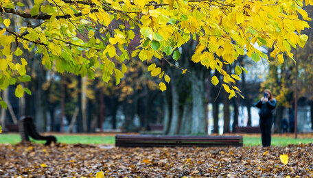 Термометр попытается штурмовать суточный рекорд: прогноз погоды в Калининграде на 13 ноября