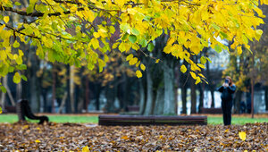 Термометр попытается штурмовать суточный рекорд: прогноз погоды в Калининграде на 13 ноября