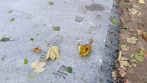 Гости Куршской косы продолжают топтаться по строящейся велодорожке, несмотря на просьбы нацпарка