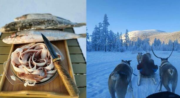 Якутская строганина даст фору калининградской: как живётся там, где стоит лютый мороз до -63 °С (фото, видео)