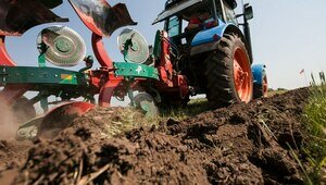 В Гвардейском районе земли, на которых должен был появиться сельскохозяйственный рай, захватили сорняки