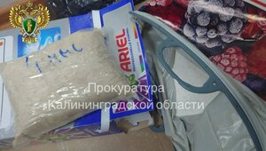 В Калининградскую область попытались ввезти 16 кг наркотиков в коробках от стирального порошка