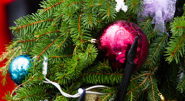 Вдовец-колясочник в одиночку растит троих: в Калининграде собирают конфеты для детей, которым приходится несладко   