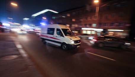 В Светлогорске водитель без прав врезался в придорожное дерево, пассажирка погибла на месте (видео) 