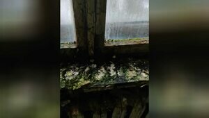 Три года под дождём: в Багратионовском округе не могут починить крышу пятиэтажки после урагана (фото)  