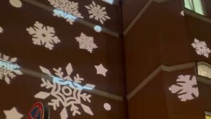 К Новому году здание калининградского правительства подсветили шестиконечными снежинками (видео)  