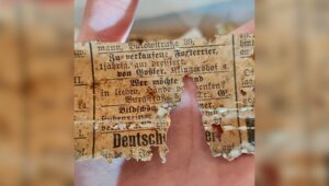 В калининградском музее во время ремонта нашли трогательные объявления собачников начала XX века (фото)