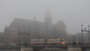 Видимость — 500-1 000 метров: в ночь на 18 декабря Калининградскую область накроет туман