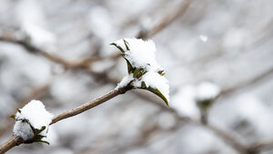 Короткий мороз и снова потепление: синоптики рассказали о погоде в Калининградской области до конца декабря 