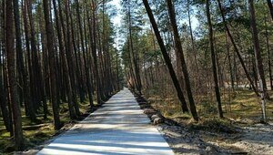 Сроки запуска велодорожки на Куршской косе снова перенесли, нацпарк достроит её за свой счёт