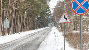 На высоте Мюллера на Куршской косе расширят парковку, а для пешеходов сделали кольцевой маршрут