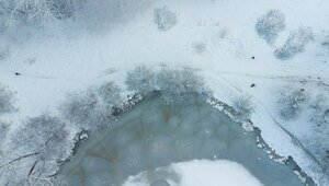 Снег будет, но какой: синоптики уточнили, удастся ли калининградцам встретить Новый год с сугробами