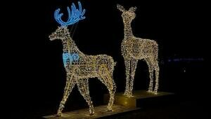 В Зеленоградске появились светящиеся олени высотой 4,5 м