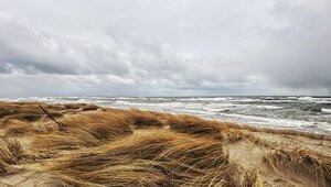 В последние выходные декабря калининградцев ждёт штормовой ветер