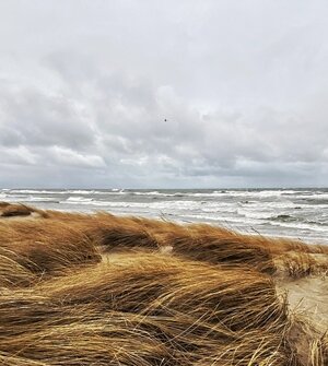 В последние выходные декабря калининградцев ждёт штормовой ветер