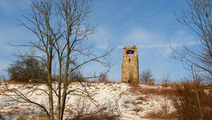 Эксперты занялись судьбой «Башни Бисмарка», которая разрушается под Черняховском