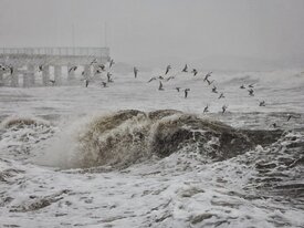 Фото дня: предновогодний шторм и бушующее море в Зеленоградске 