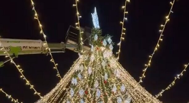 Дятлова отчиталась, что главная ёлка Калининграда вновь с макушкой (видео)